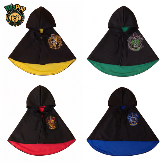 WizPup™- Costume